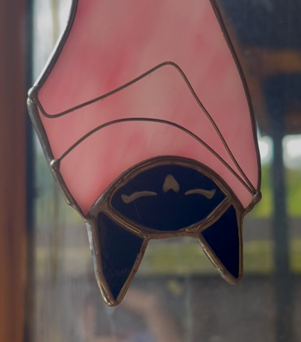 Sleeping bats
