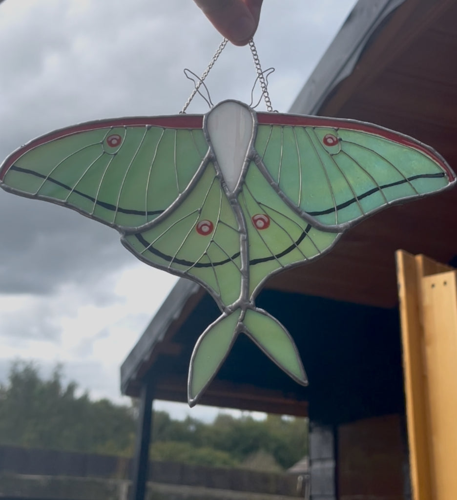 Luna Moth