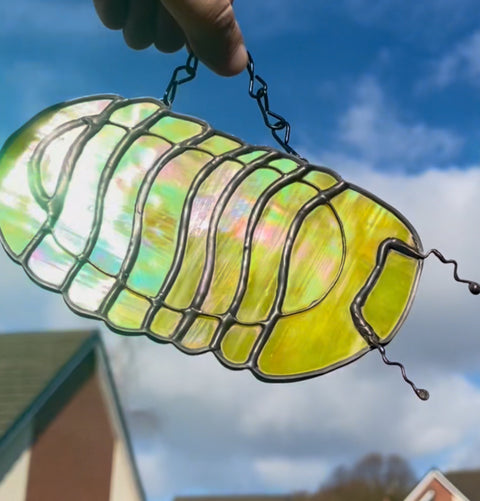 Pillbug/ Isopod Suncatcher